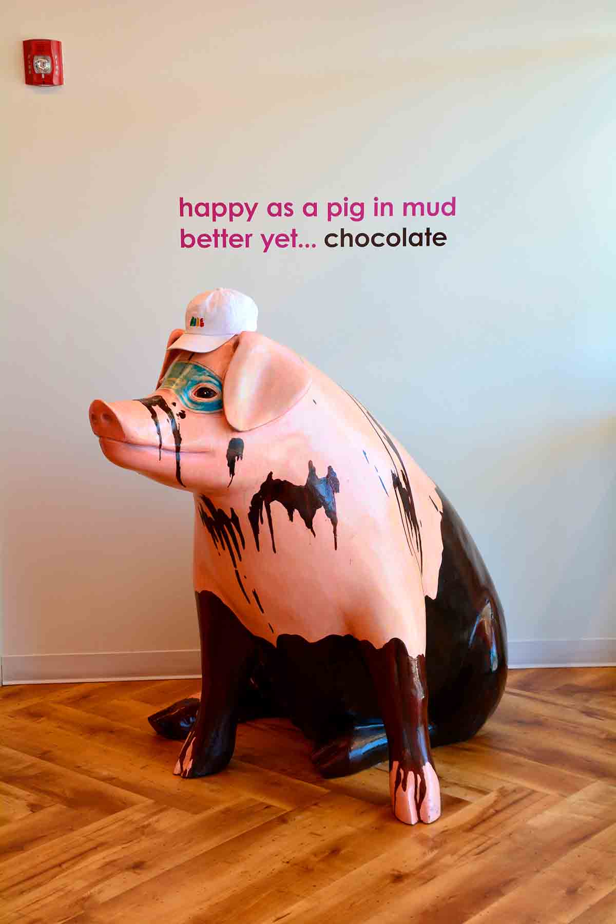 chocolate covered pig on Seattle Chocolates tour